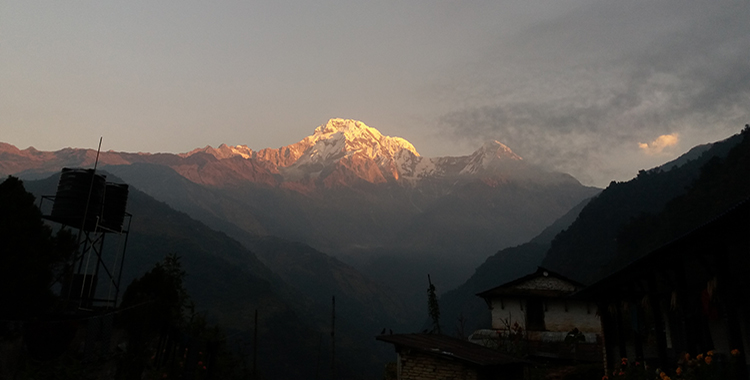 Annapurna Panorama View Trek 8 Days