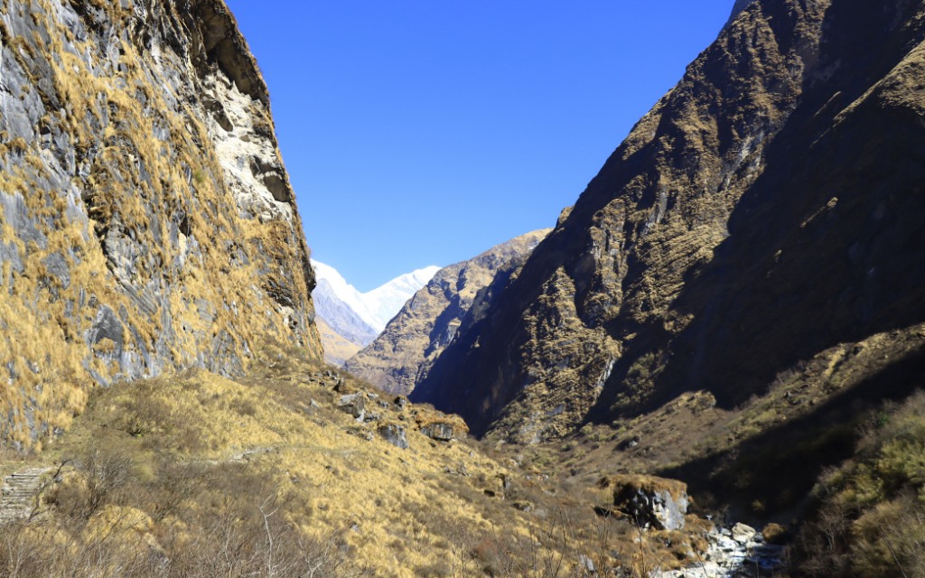 Ghorepani Poon Hill Trek 5 Days Tour