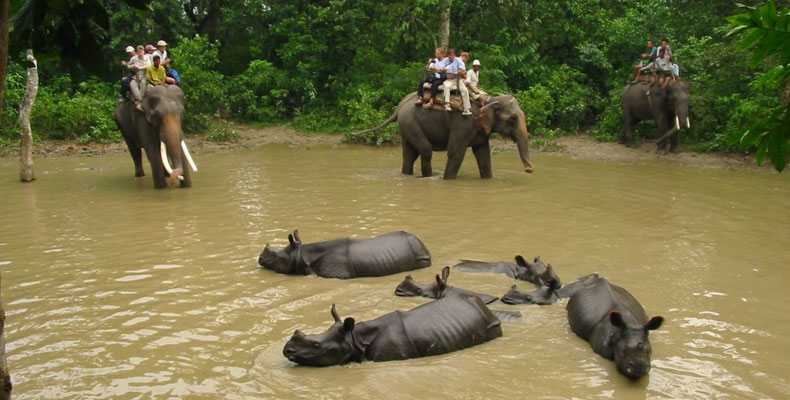 Ghorepani Poon Hill & Chitwan Jungle Safari 8 Days