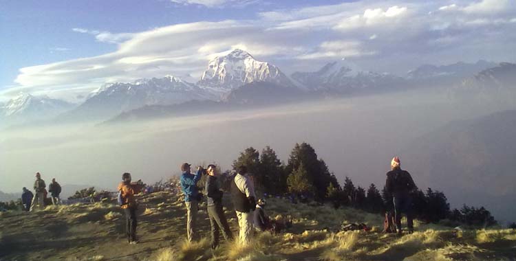Poon Hill Teahouse Trekking 7 Days