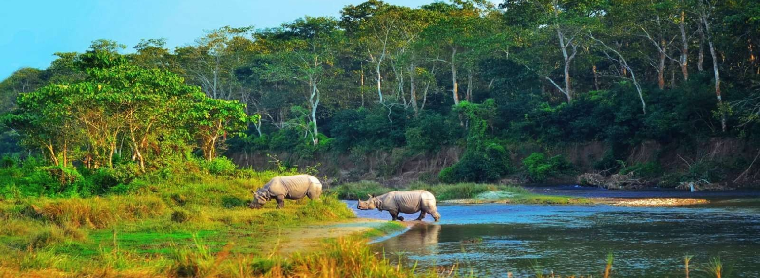 Chitwan Jungle Safari Tour